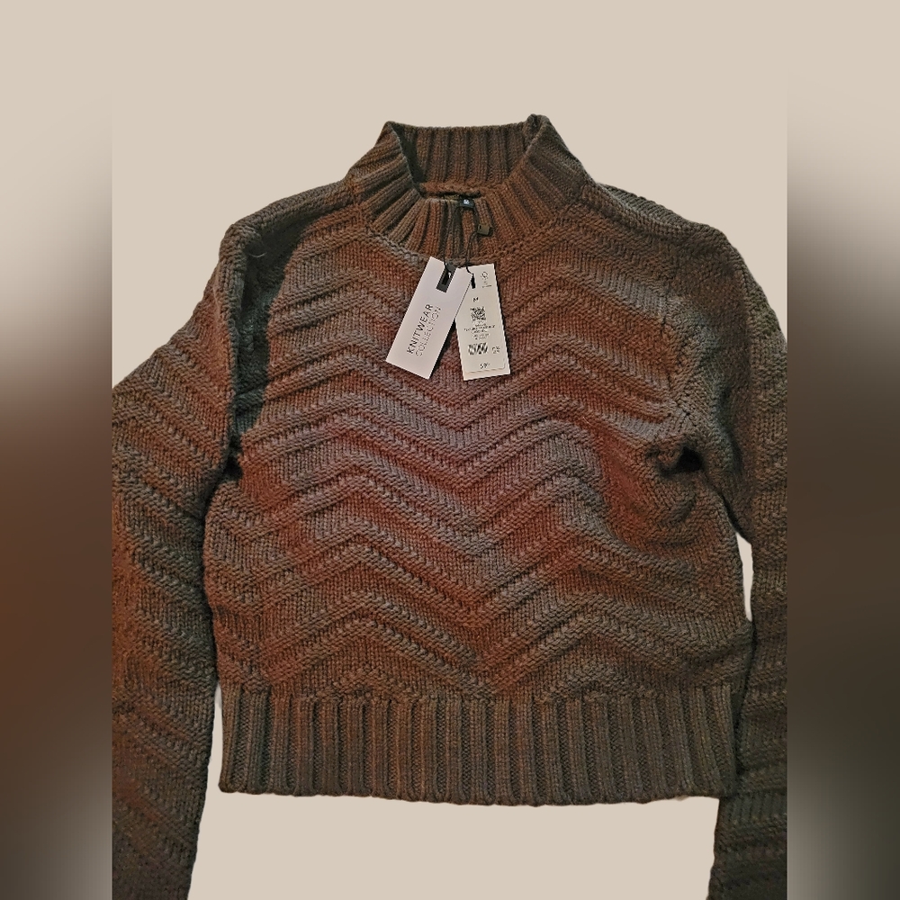 NWT dynamite knit sweater